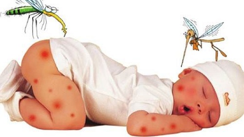 Hãy bảo vệ trẻ bằng cách diệt muỗi tận gốc